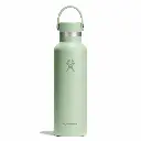 hydro-flask-21oz-standard-mouth-insulated-bottle-flex-cap-621ml-aloe-2-1923729.webp
