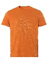 42720_027.webp