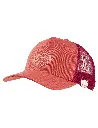46261_768.webp