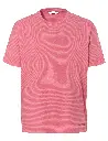 43084_804.webp