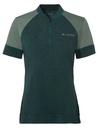 Women's Altissimo Q-Zip Shirt